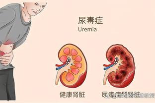 开云官网入口下载地址截图4